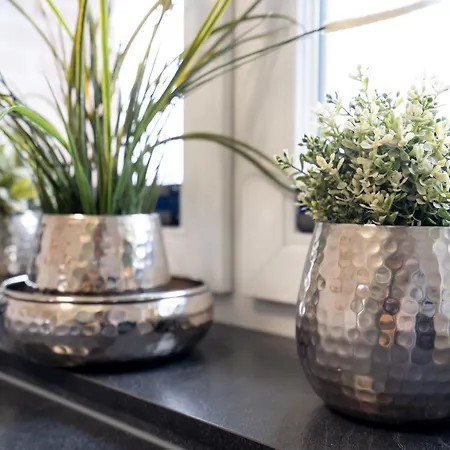 Kleiner Knurrhahn - Strandnah - Ein Kleiner Hund Willkommen *