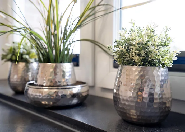 Kleiner Knurrhahn - Strandnah - Ein Kleiner Hund Willkommen *